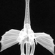 Illustration for article titled This Is What Toys Look Like When You X-Ray Them